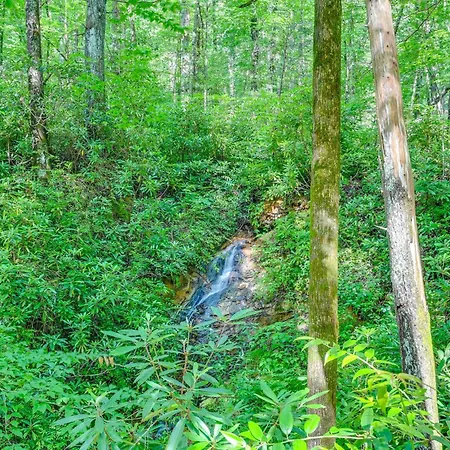 Rosman Vacation Rental With Charcoal Grill!